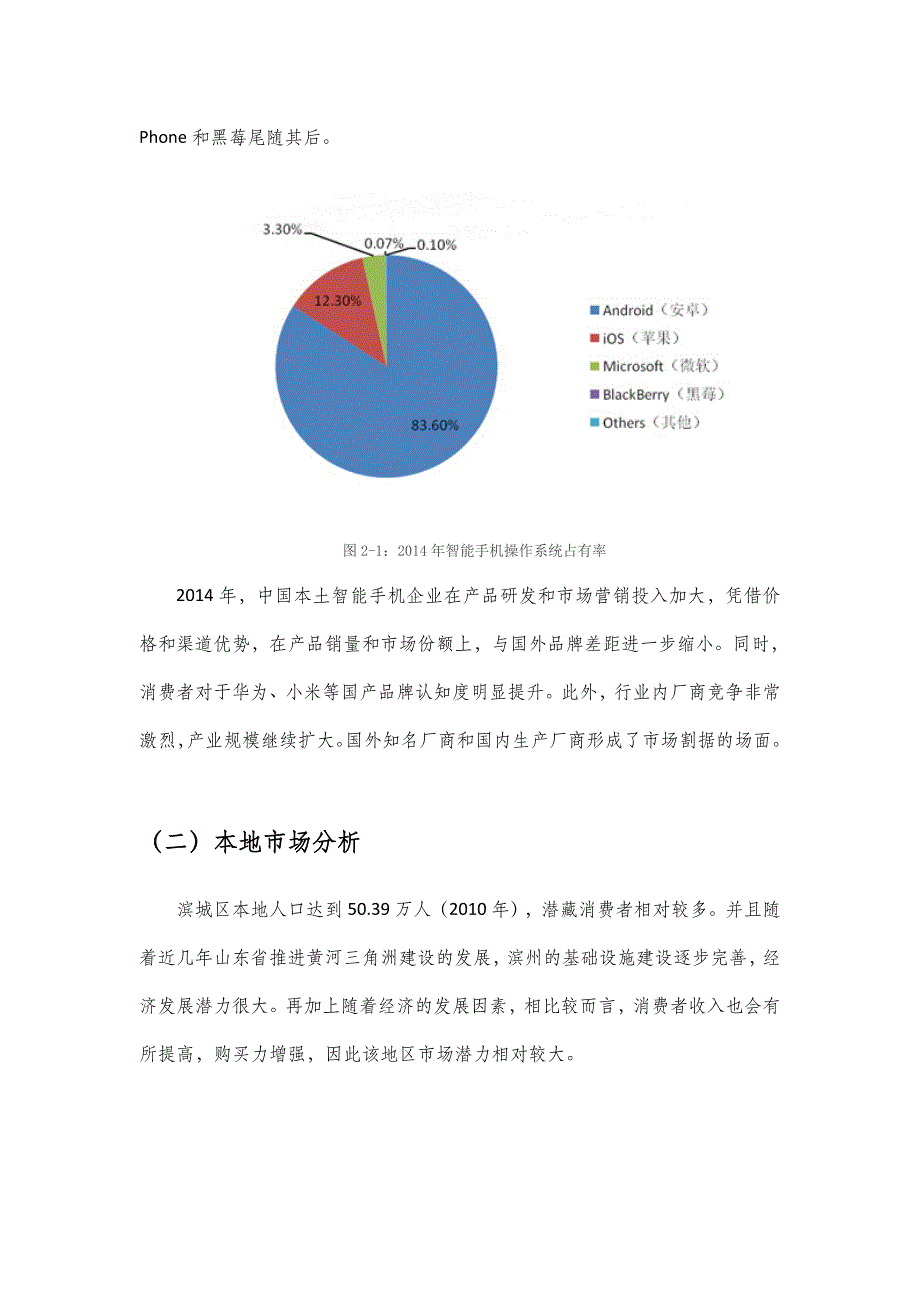 华为手机营销策划书_第3页