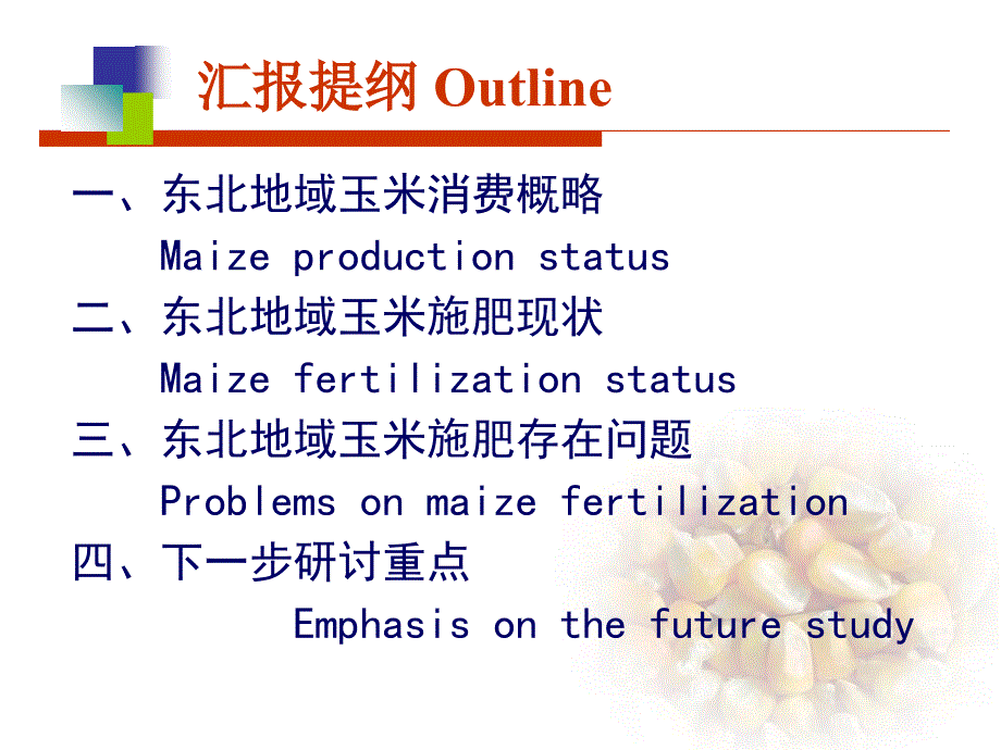 东北地区玉米施肥现状问题与对策ppt课件_第2页