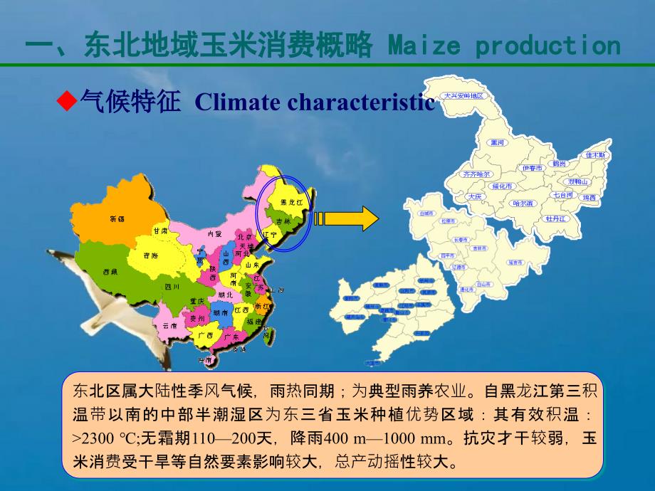 东北地区玉米施肥现状问题与对策ppt课件_第3页