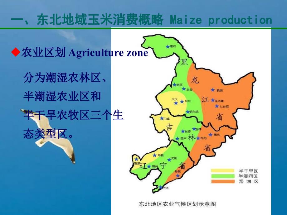 东北地区玉米施肥现状问题与对策ppt课件_第4页