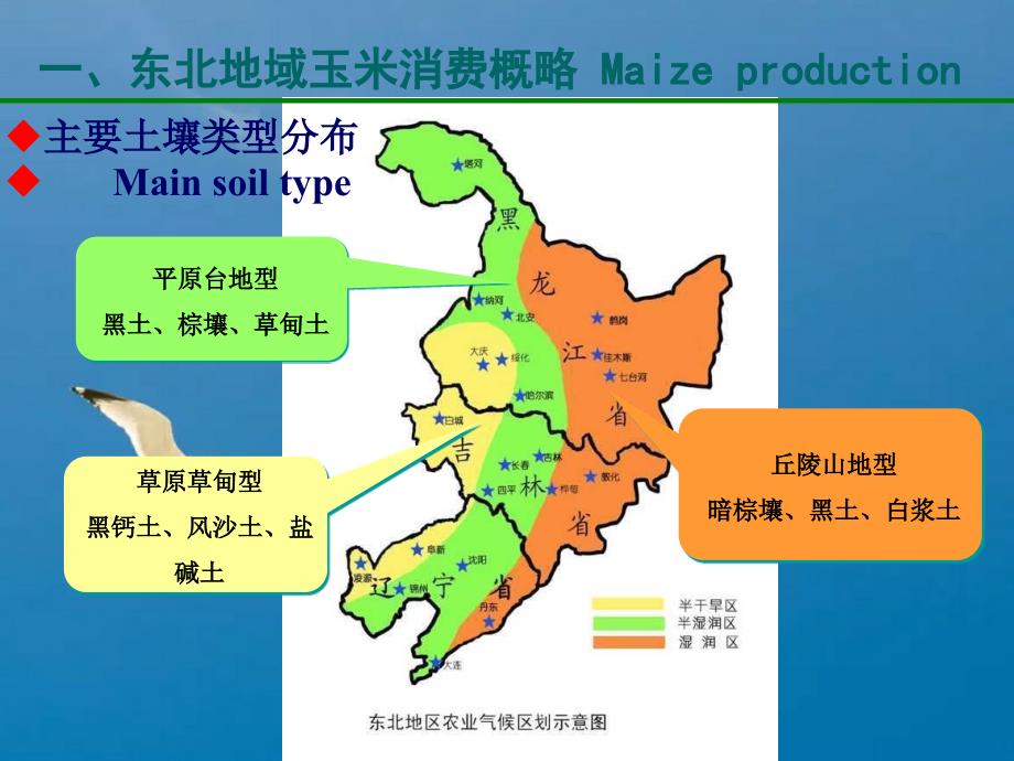 东北地区玉米施肥现状问题与对策ppt课件_第5页