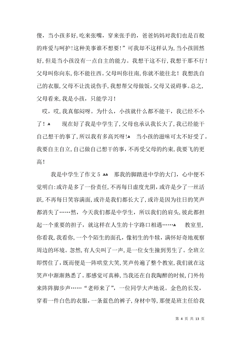 我是中学生了作文15篇2_第4页