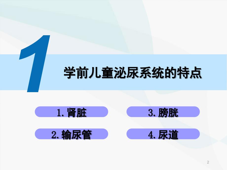 学前儿童的泌尿系统的特点及保育课堂PPT_第2页