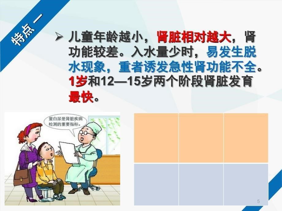 学前儿童的泌尿系统的特点及保育课堂PPT_第5页