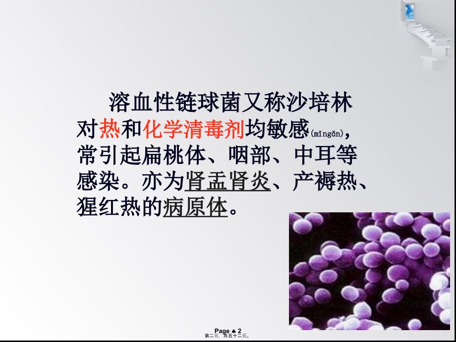 医学专题—溶血性链球菌_第2页