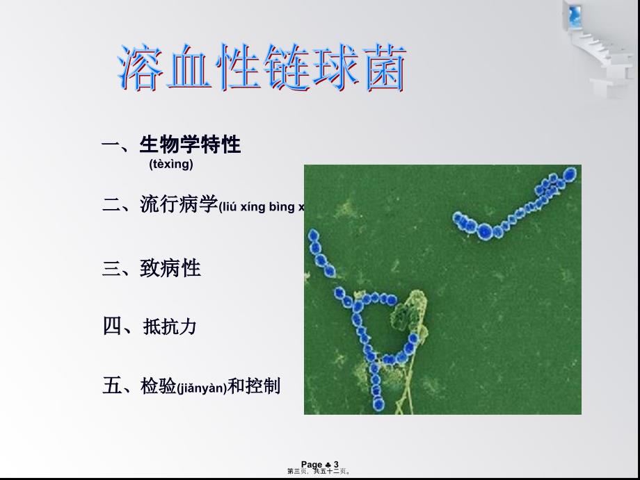 医学专题—溶血性链球菌_第3页