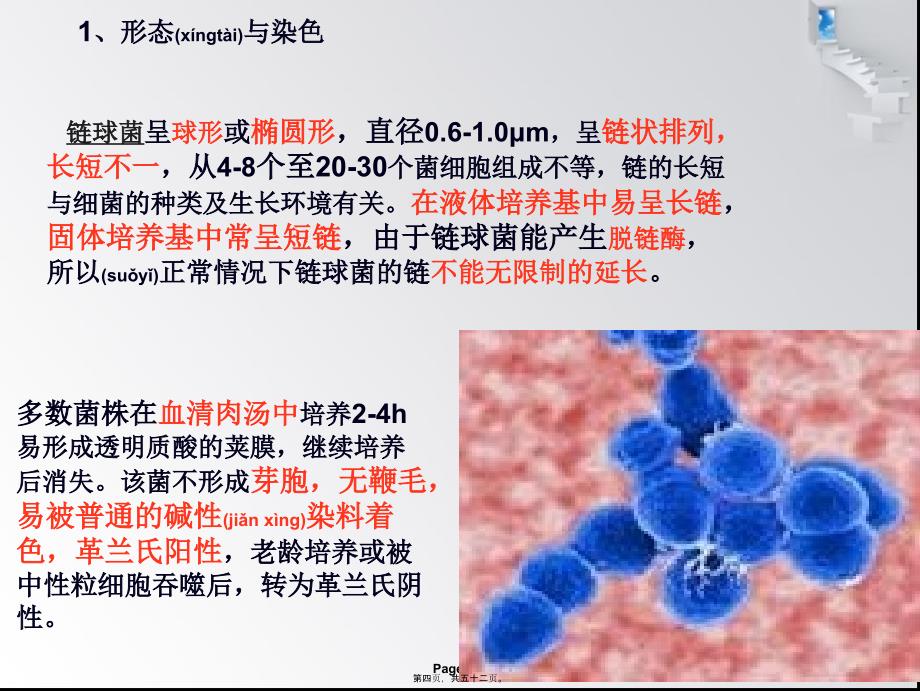 医学专题—溶血性链球菌_第4页