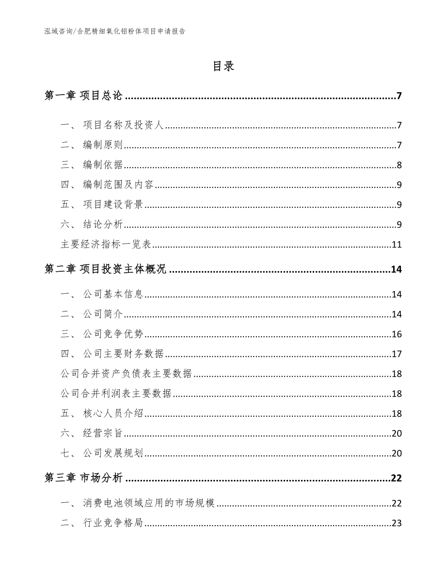 合肥精细氧化铝粉体项目申请报告（参考模板）_第1页