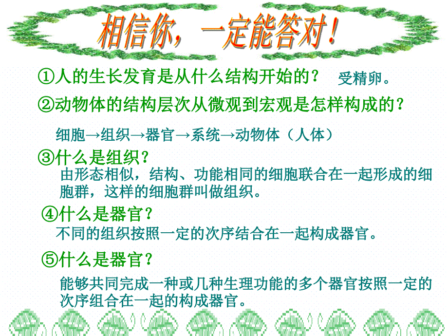 人教版七年级生物上册223植物体的结构层次课件共25张_第3页