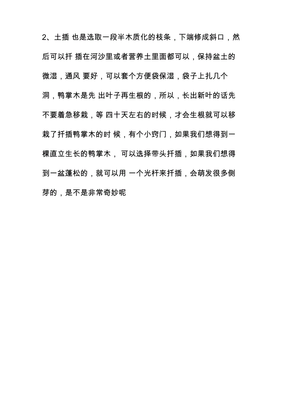 招财树扦插很简单一段枝条一点水几天窜出大白根_第2页