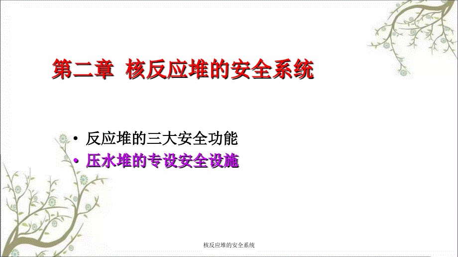 核反应堆的安全系统PPT课件_第1页