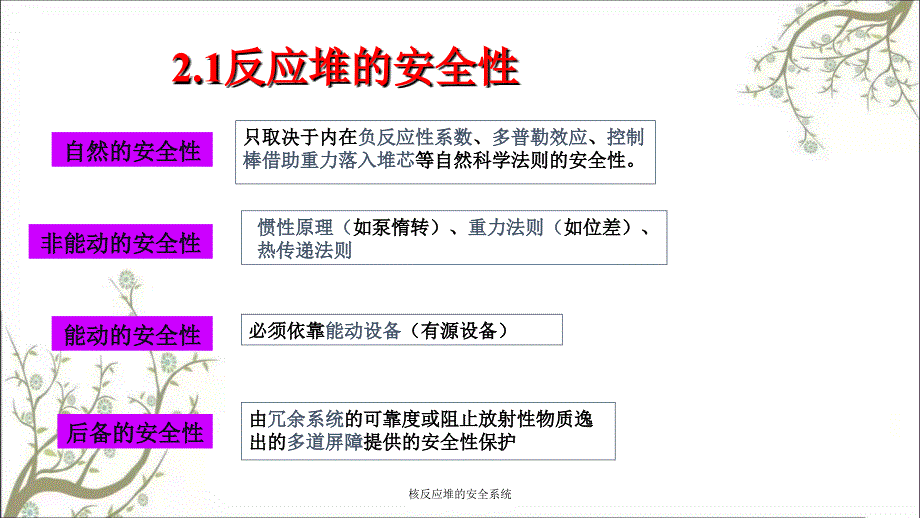 核反应堆的安全系统PPT课件_第2页