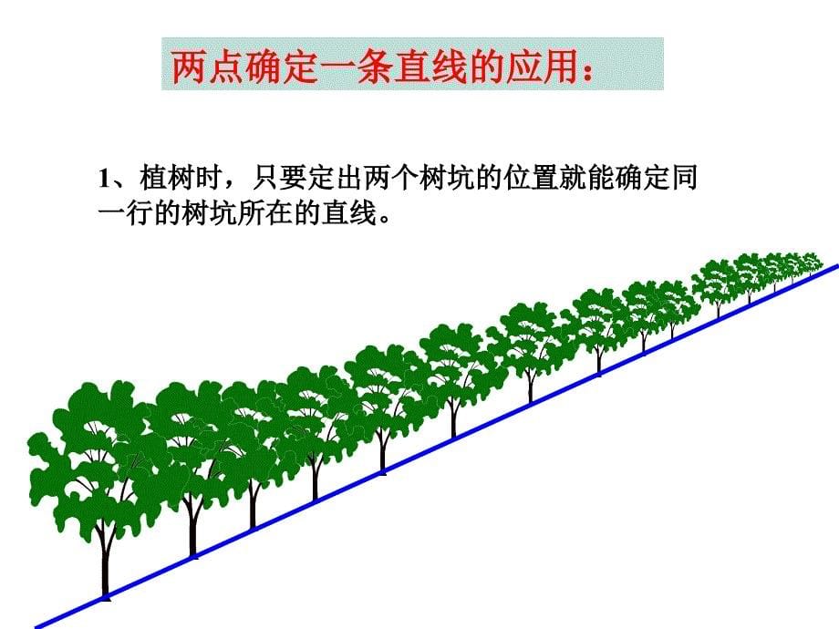 42线段直线射线_第5页