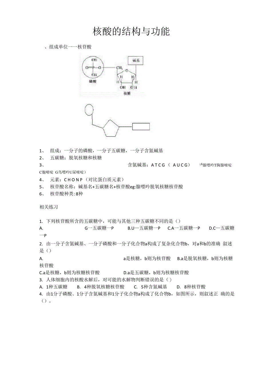 核酸的结构与功能_第1页