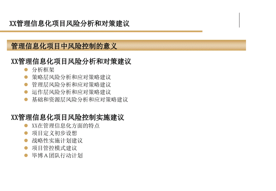 管理信息化项目风险分析和对策建议_第2页