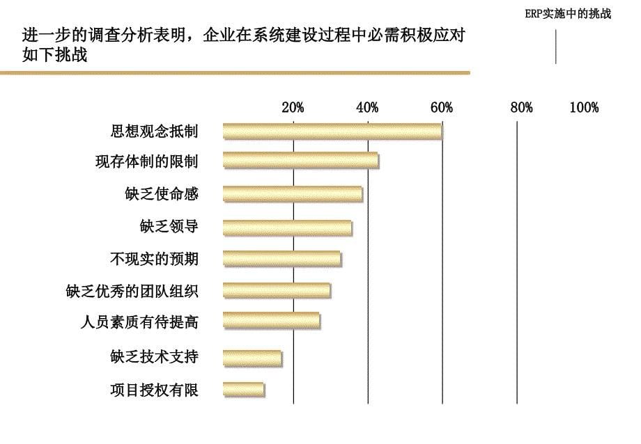 管理信息化项目风险分析和对策建议_第5页