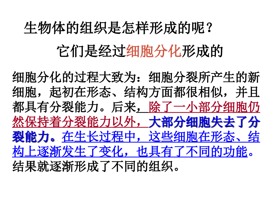 高中生物第六章第二节细胞的分化课件人教版必修一_第2页