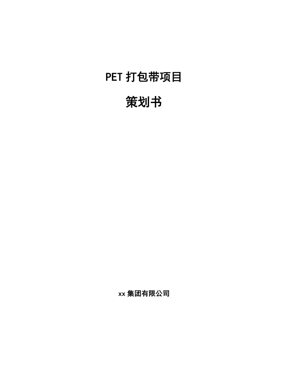PET打包带项目策划书_第1页