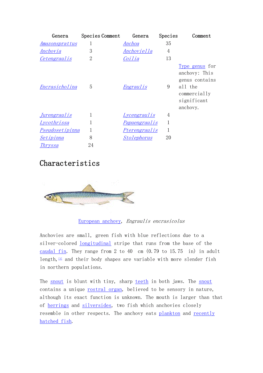 Anchovy(凤尾鱼英文简介)_第3页