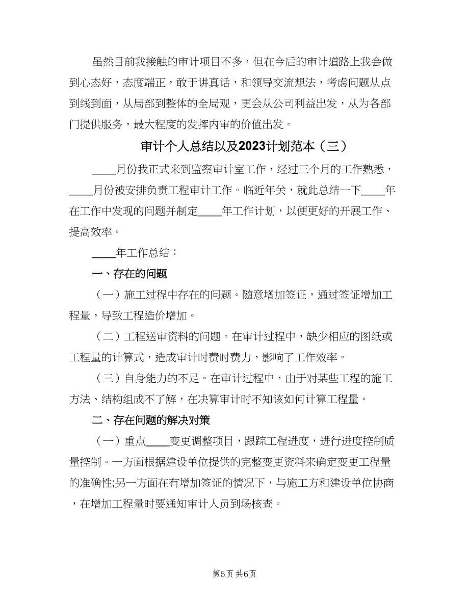 审计个人总结以及2023计划范本（三篇）.doc_第5页