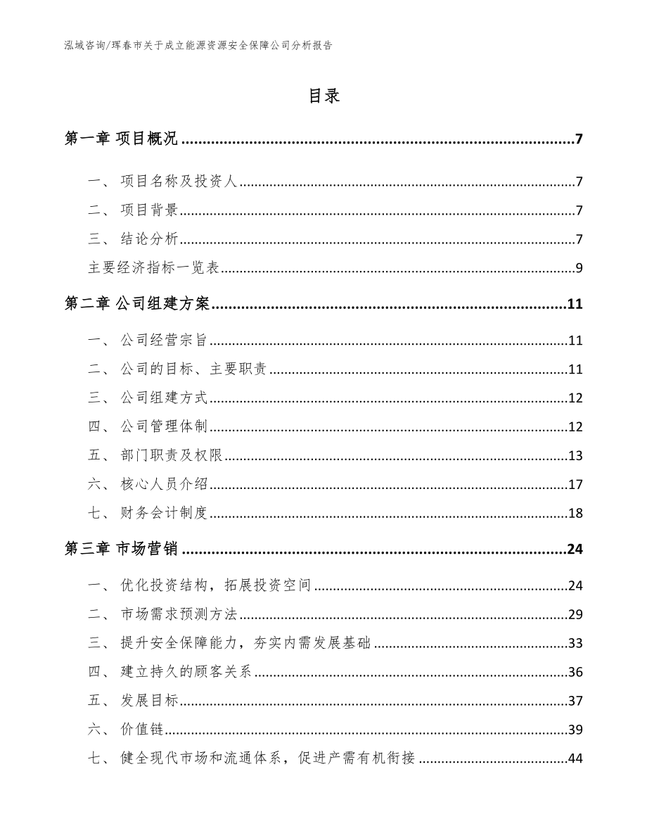 珲春市关于成立能源资源安全保障公司分析报告_模板范文_第2页