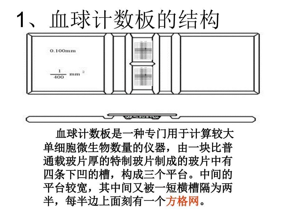 培养液中酵母菌种群数量的变化_第5页