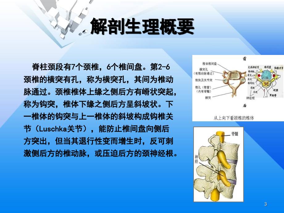 小定点整脊恢复演示PPT_第3页