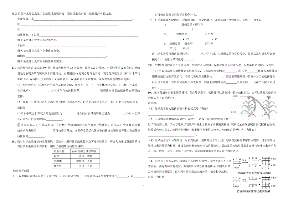 同位素与遗传.doc_第3页