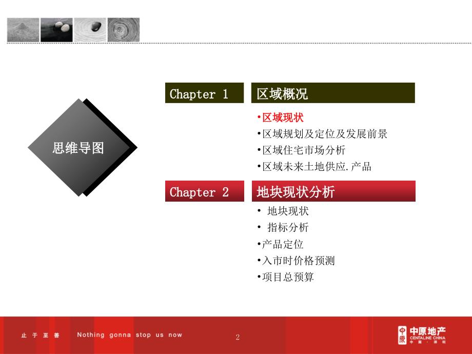 中原深圳龙华泰华地块可行性研究报告60PPT_第2页