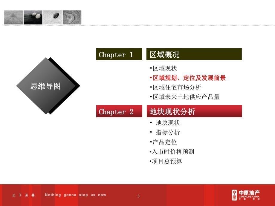 中原深圳龙华泰华地块可行性研究报告60PPT_第5页