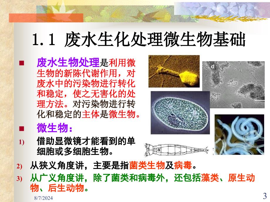 废水生物处理理论基础ppt课件_第3页