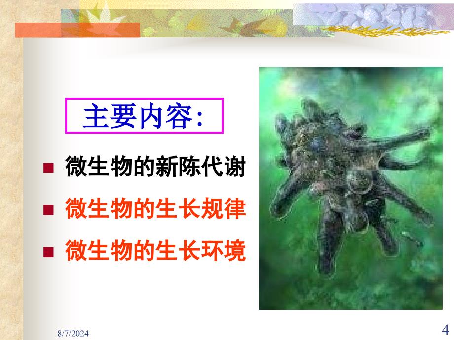 废水生物处理理论基础ppt课件_第4页