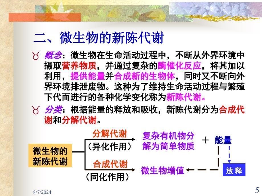 废水生物处理理论基础ppt课件_第5页