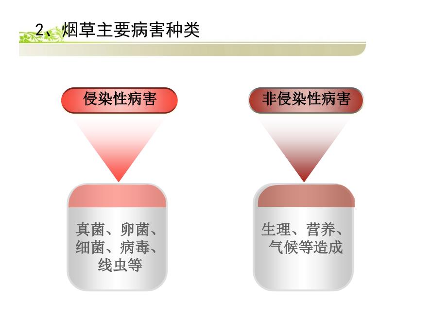 烟草病害绿色防控技术_第4页