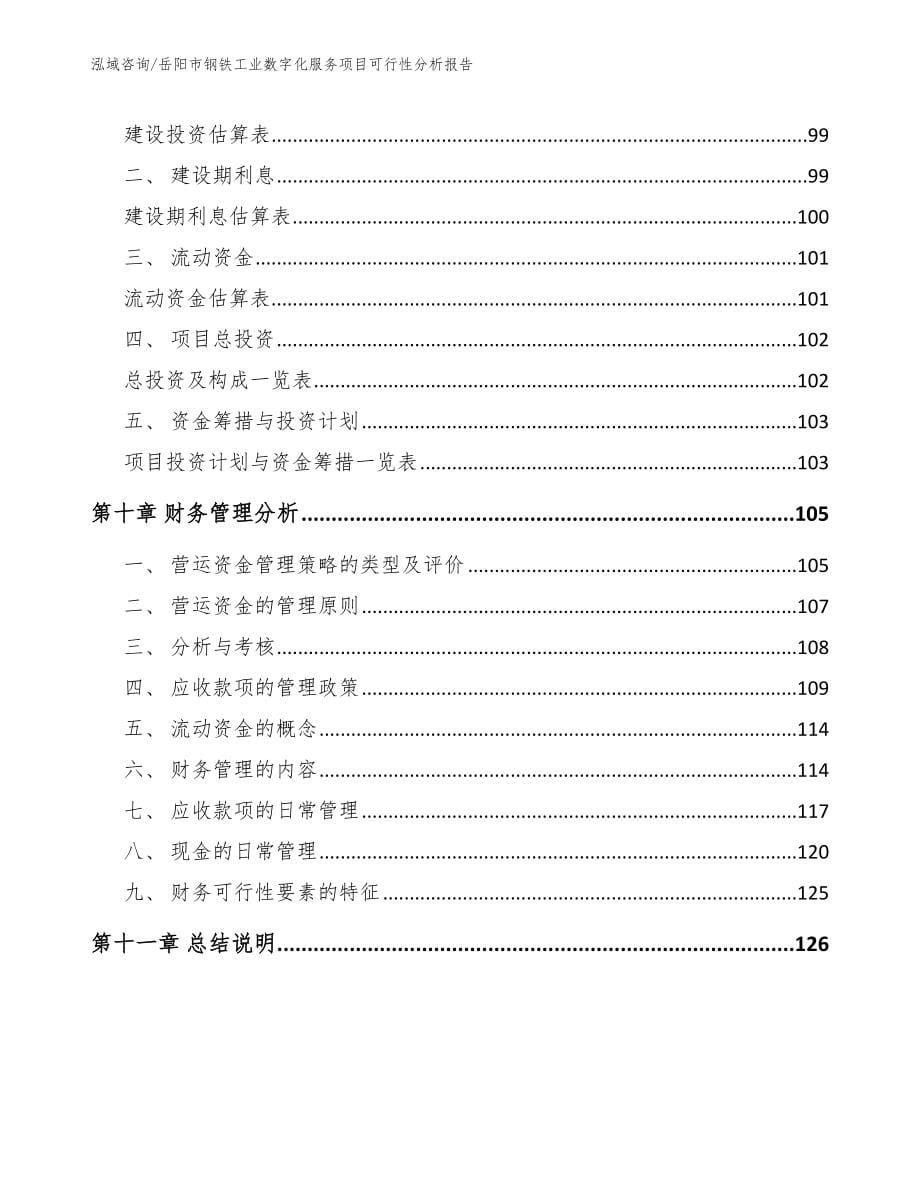 岳阳市钢铁工业数字化服务项目可行性分析报告模板_第5页