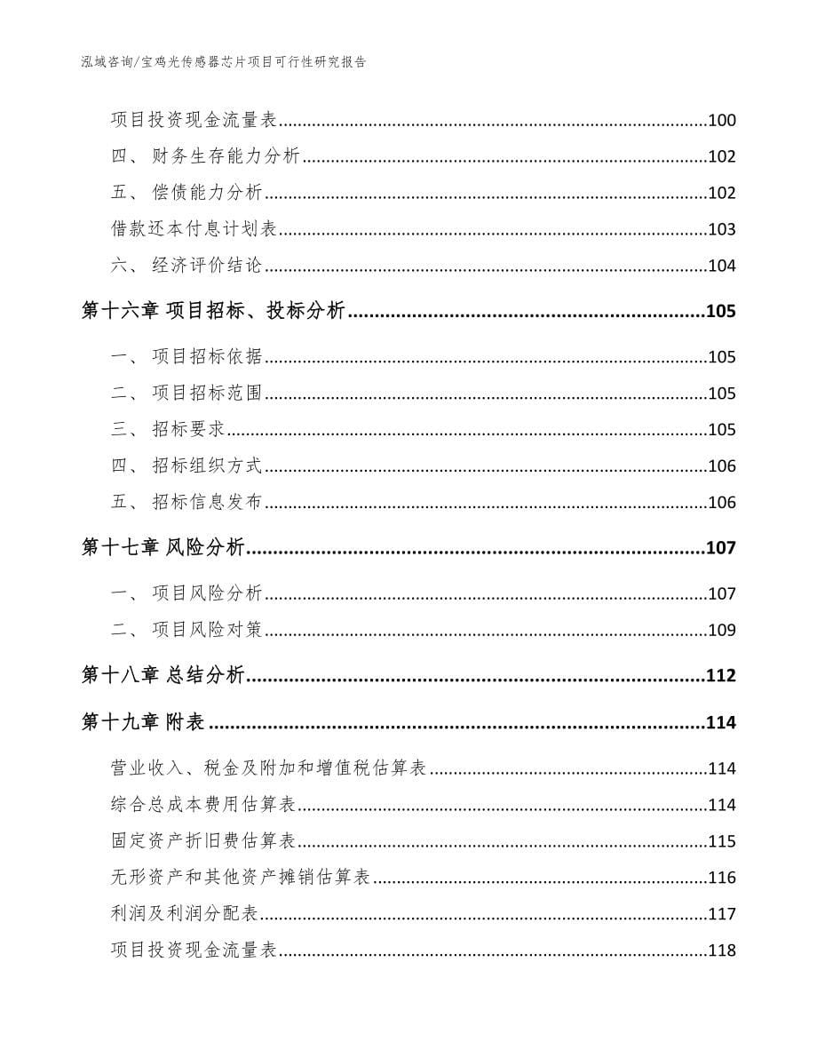 宝鸡光传感器芯片项目可行性研究报告（模板）_第5页