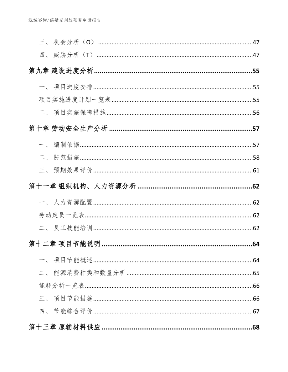 鹤壁光刻胶项目申请报告_第4页