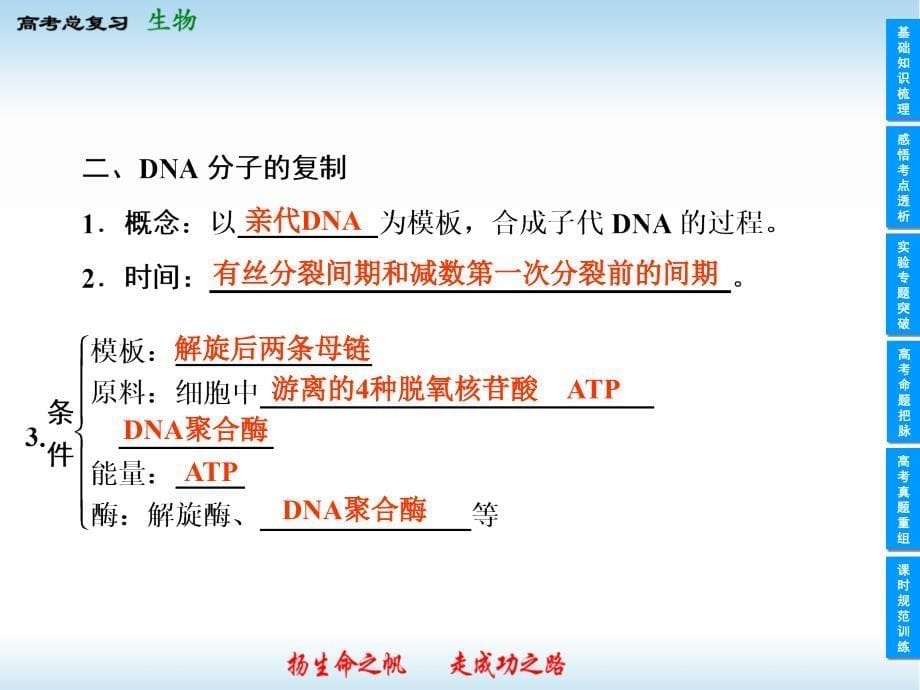 高中生物一轮复习课件人教版.ppt_第5页