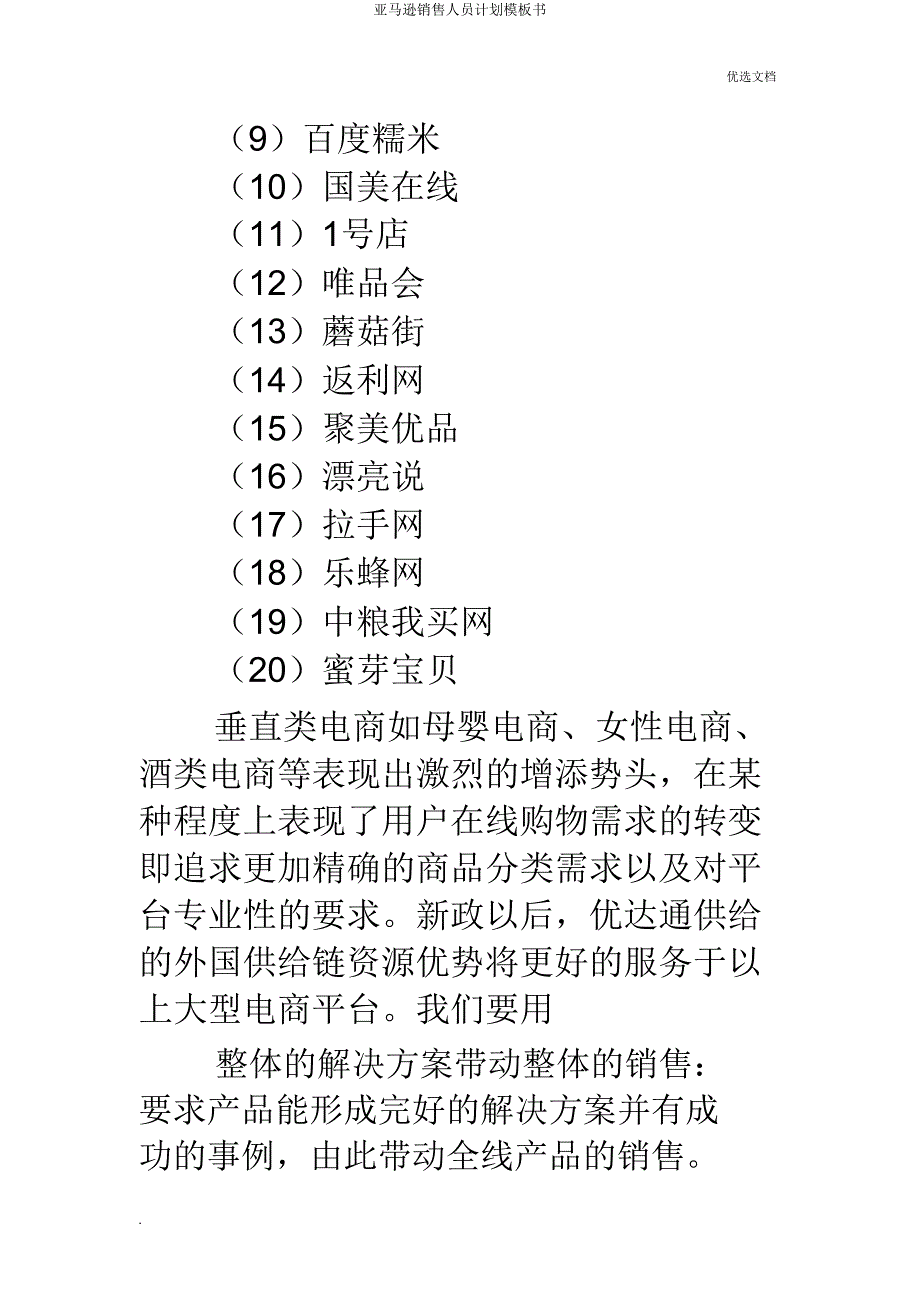 亚马逊销售人员计划模板书.doc_第3页