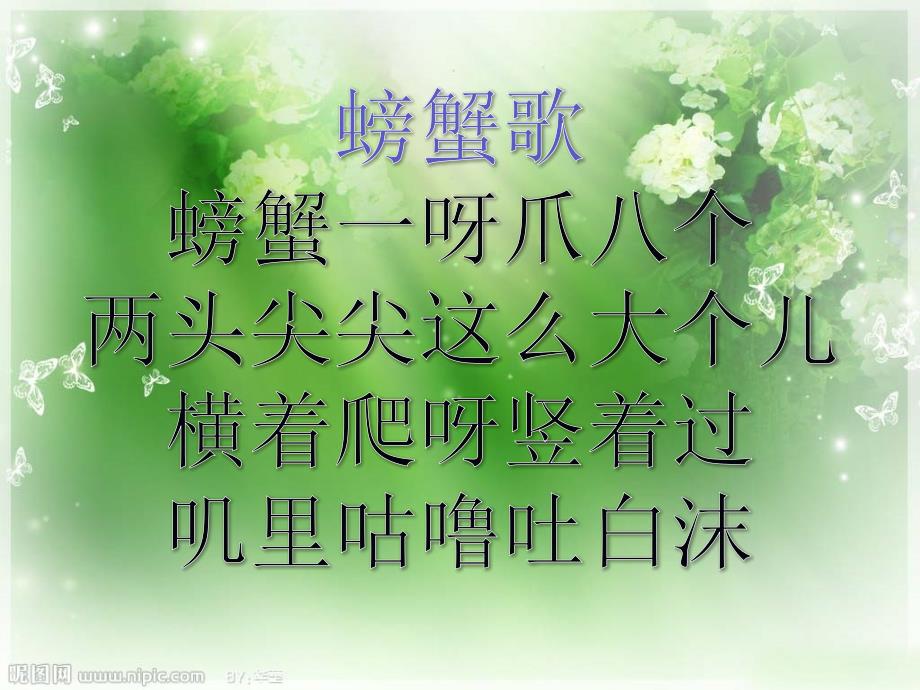 中班绘画画螃蟹课件2_第2页