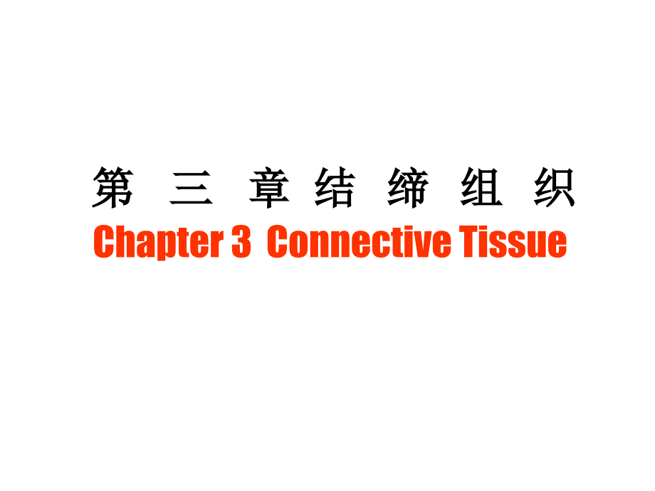 组胚3结缔组织_第1页