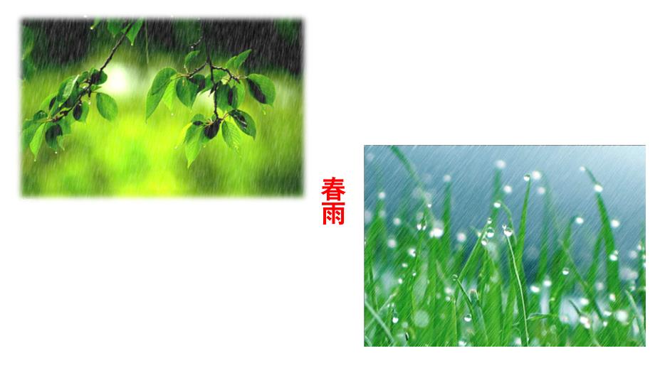 3雨的四季_第4页