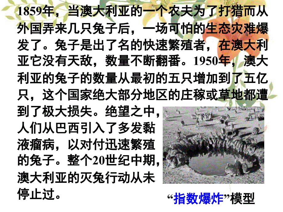 函数模型及其应用全课时_第3页