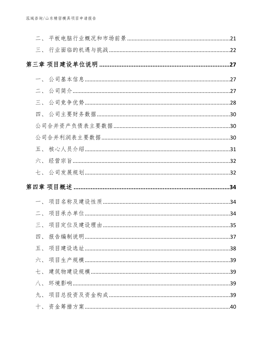 山东精密模具项目申请报告_第3页