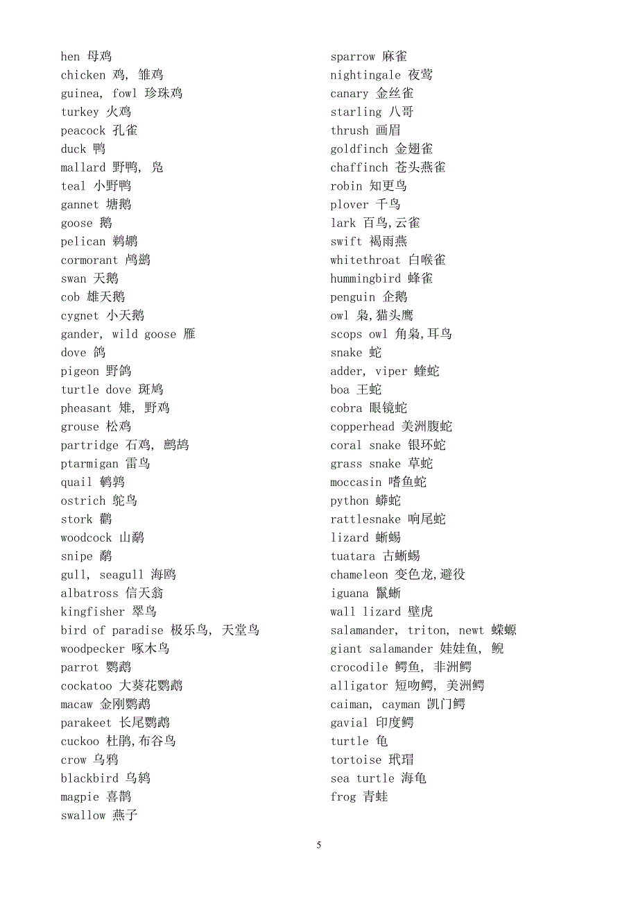 各种水果的中英对照_第5页