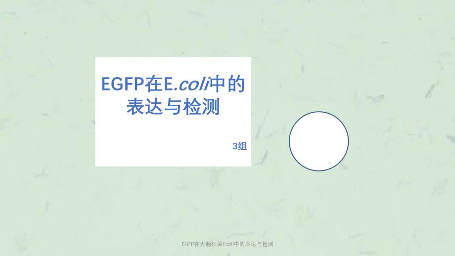 EGFP在大肠杆菌Ecoli中的表达与检测课件_第1页