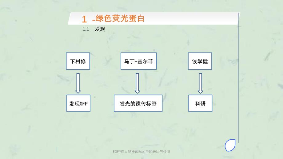 EGFP在大肠杆菌Ecoli中的表达与检测课件_第4页