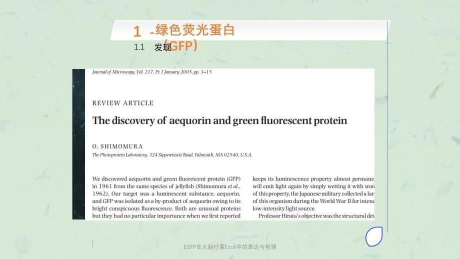 EGFP在大肠杆菌Ecoli中的表达与检测课件_第5页