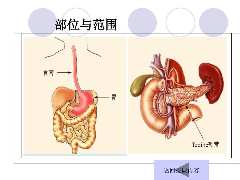 康复-上消化道出血课件_第5页