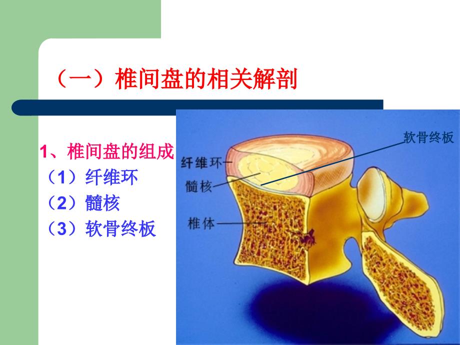 腰椎间盘突出症的诊断意识与非手术治疗知识讲解_第3页